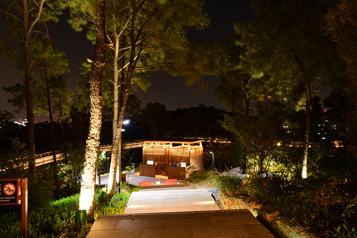 楼体楼宇亮化工程,led发光标识工程,夜景景观照明工程,夜景泛光照明